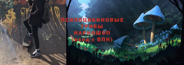 альфа пвп Краснослободск