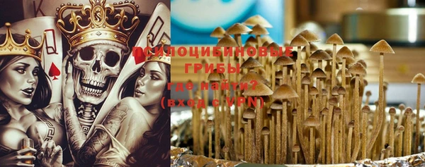 альфа пвп Краснослободск